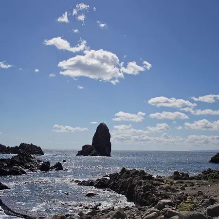 绿洲住宿加早餐旅馆 住宿加早餐酒店