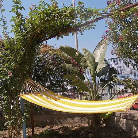 绿洲住宿加早餐旅馆 住宿加早餐酒店