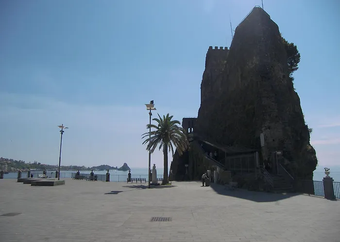 Oasis Отель типа 