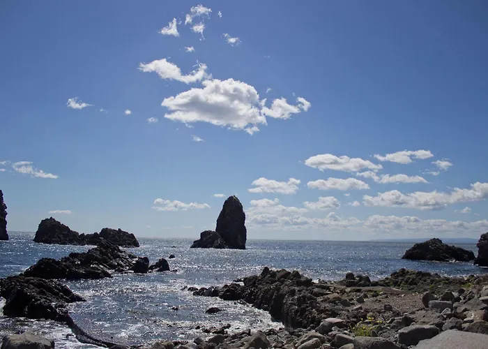 Oasis Отель типа 