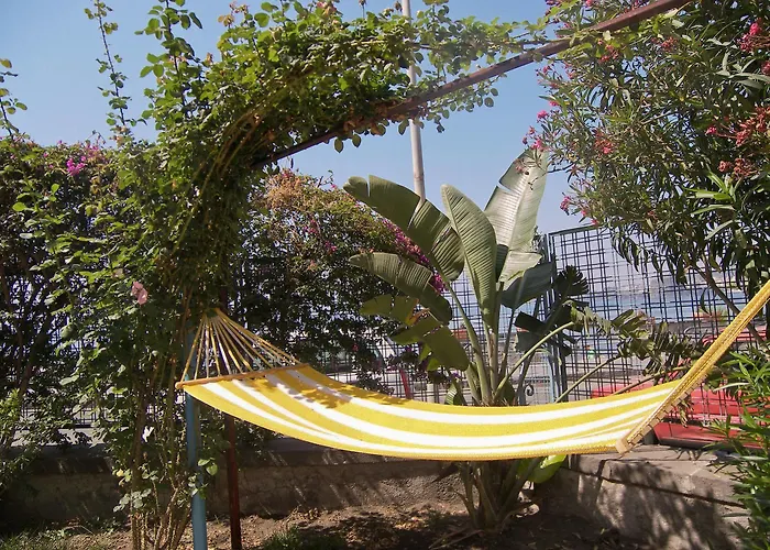 Oasis Отель типа 